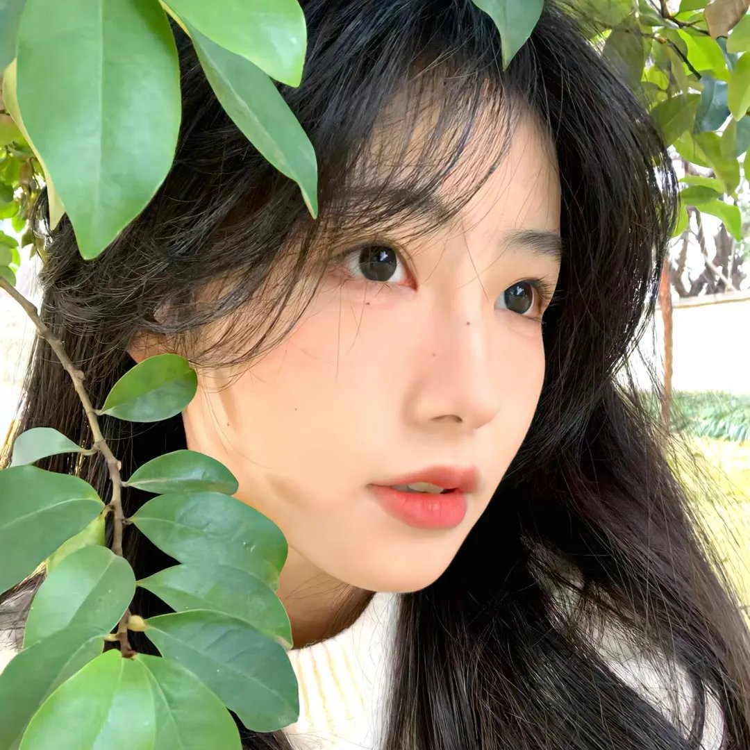 约见波布海报