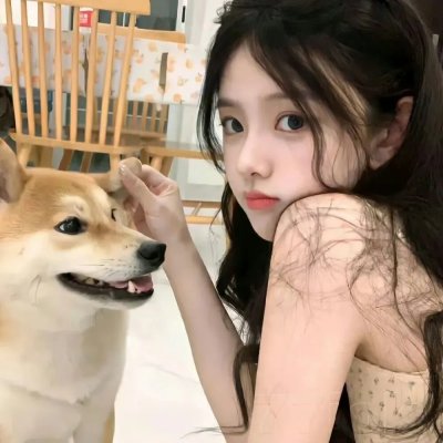 鳄鱼藏尸日记海报